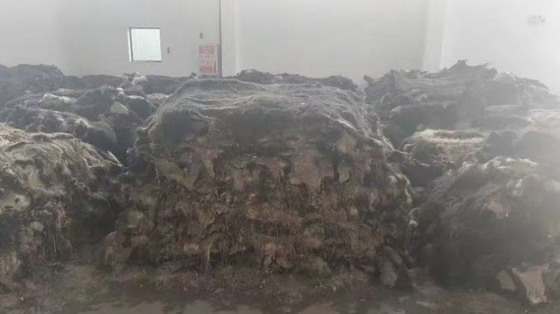 牦牛皮生皮