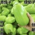河南老品种绿茄子