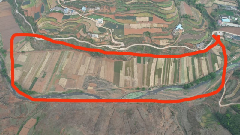 250亩地，不知道种什么菜，也没有销路
