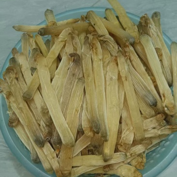 沙虫干