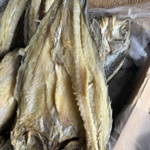 深海大海鲈鱼，两三斤一条，送礼最佳鱼干