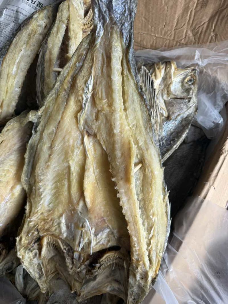 深海大海鲈鱼，两三斤一条，送礼最佳鱼干