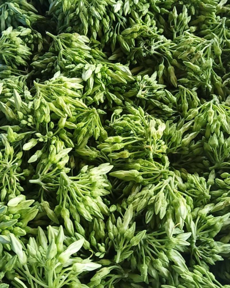 蔬菜/野菜特菜/夜香花