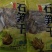 临安早笋干石笋干