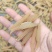 中药材，天冬(天门冬)