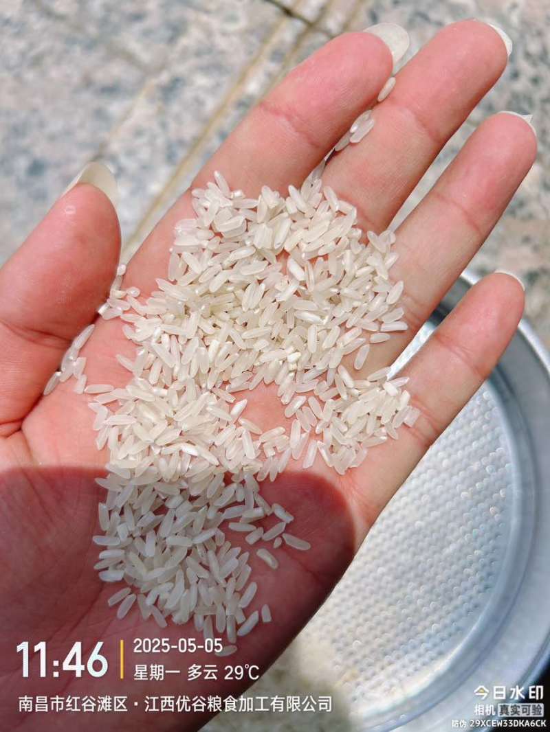2024年加工丰良优，500吨
