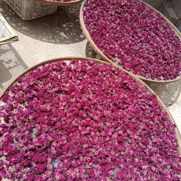 药食同源玫瑰花茶
