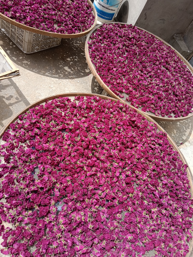 药食同源玫瑰花茶