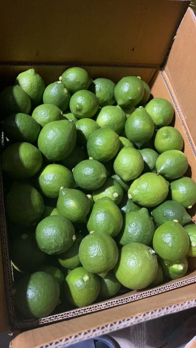 优力克青果，80克至180克一级果，精品果优