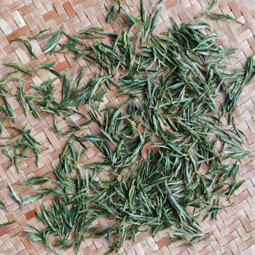 皖南山区高山上的***绿茶