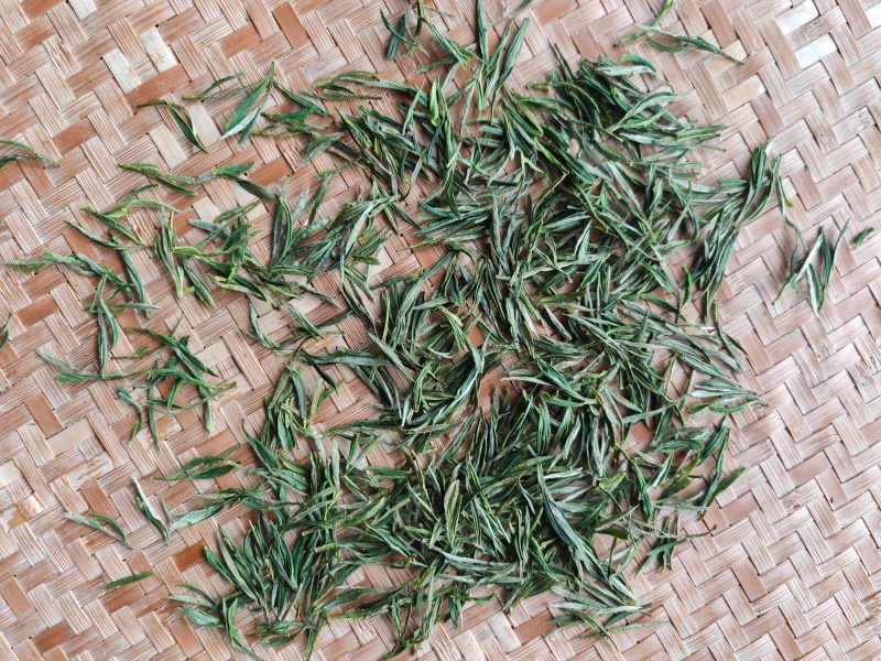 皖南山区高山上的***绿茶