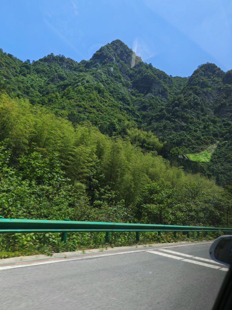 皖南山区高山上的***绿茶