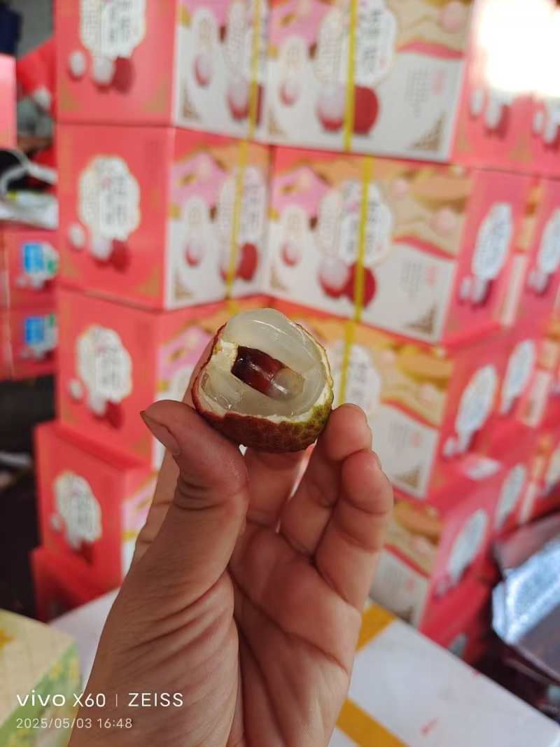 海南荔枝一件代发