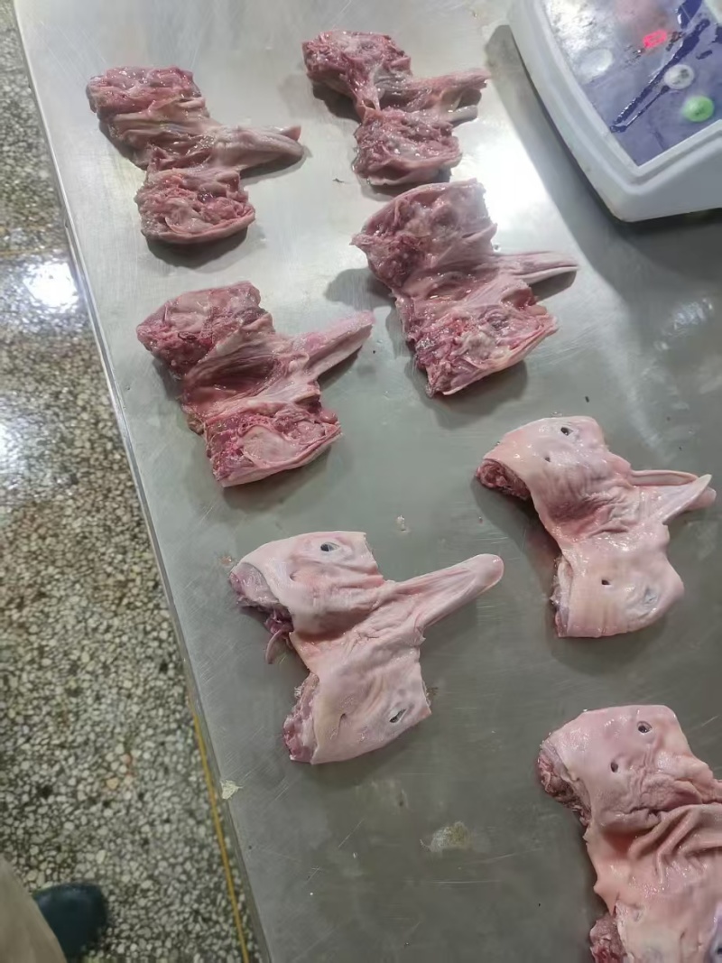 鹅下巴鸭下巴鹅头带舌鹅头
