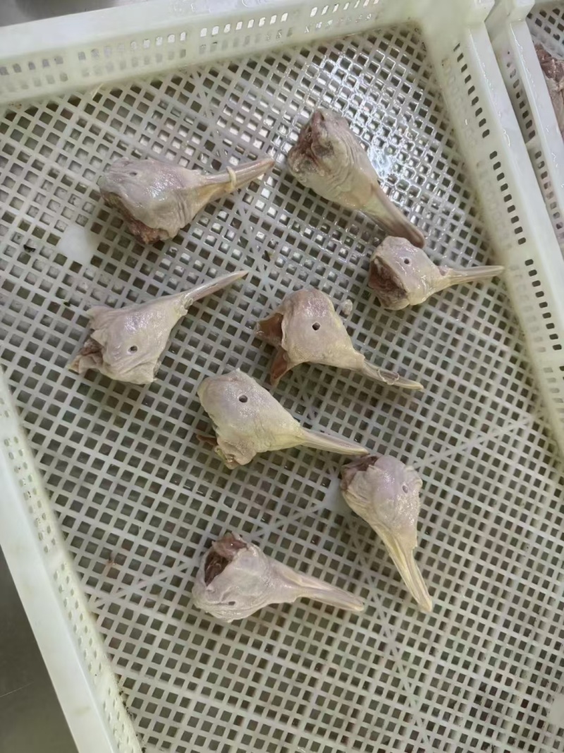 鹅下巴鸭下巴鹅头带舌鹅头