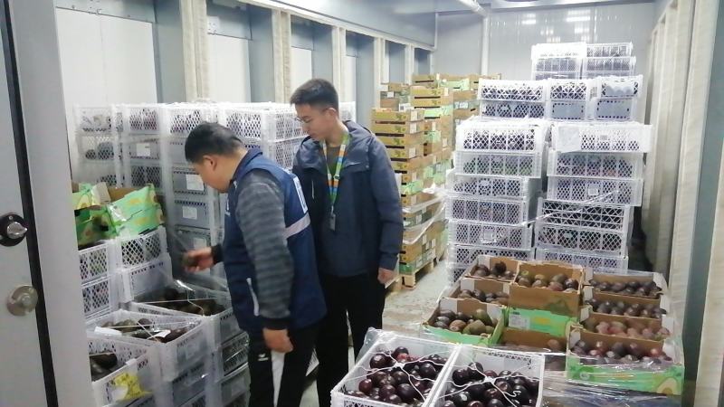 秘鲁牛油果特价处理