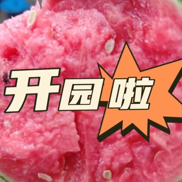 口口脆头桩货