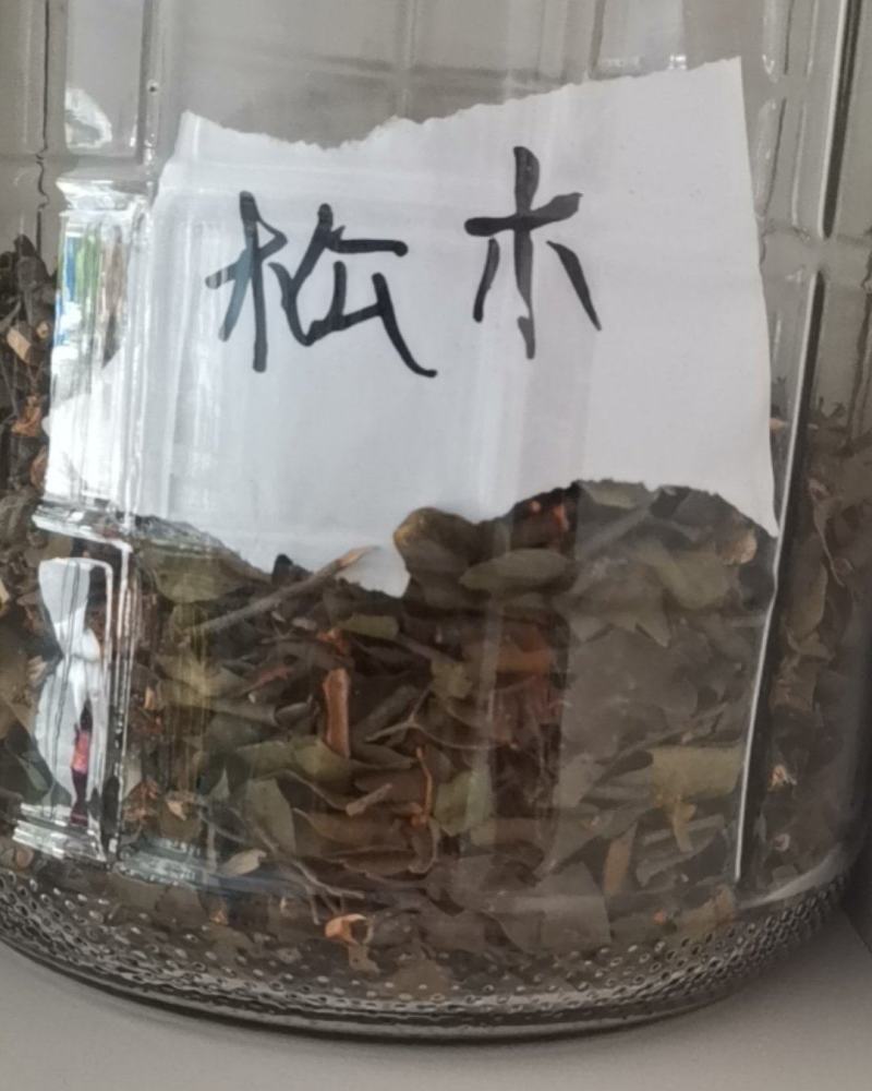 各种野生寄生