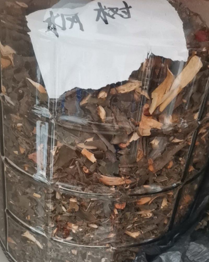各种野生寄生