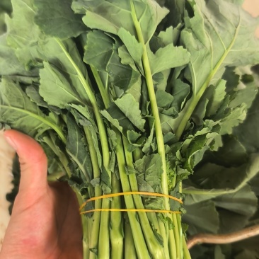 板蓝根青菜，大量供应有需要的老板联系，可视频看货