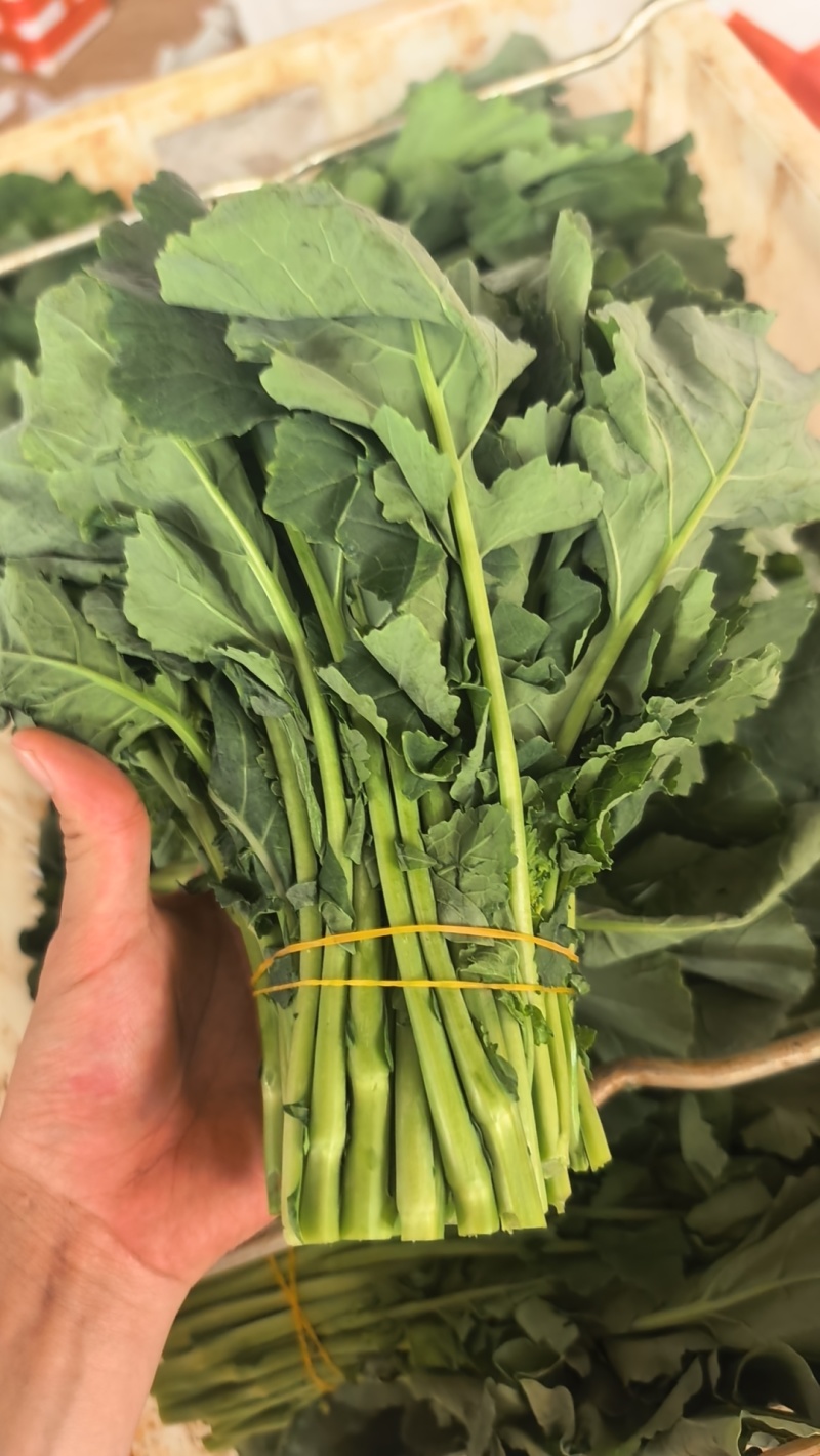 板蓝根青菜，大量供应有需要的老板联系，可视频看货