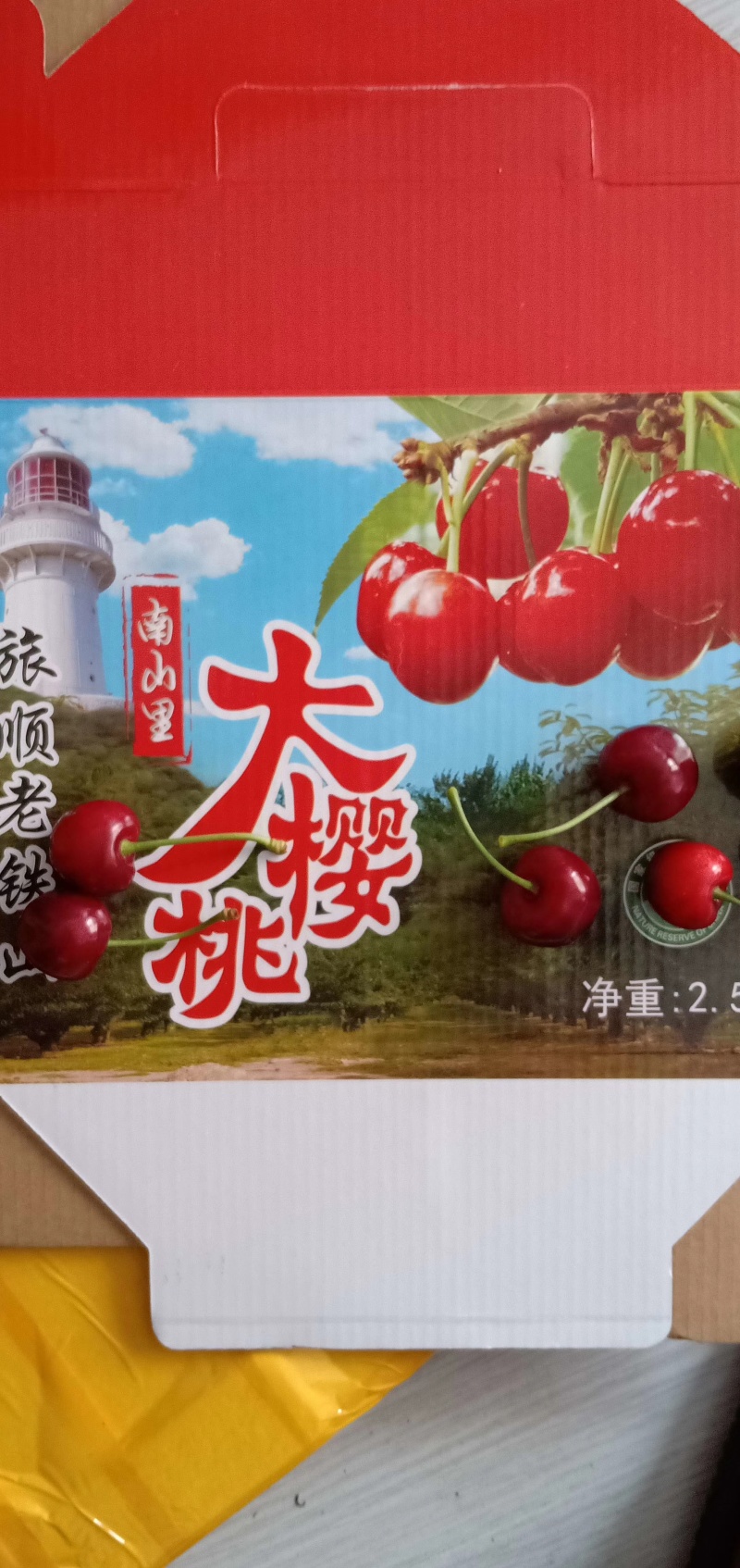 辽宁大连旅顺铁山大樱桃