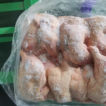 种鸡排腿有货