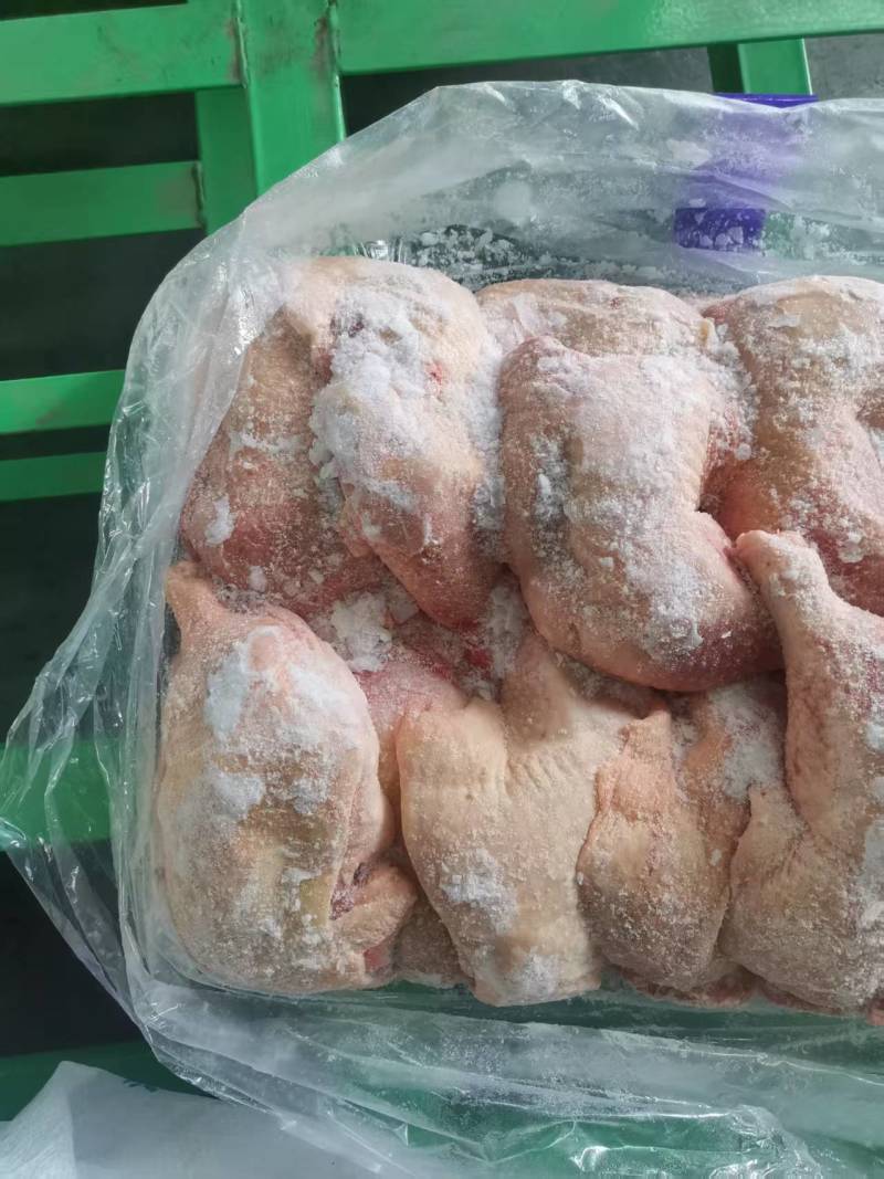种鸡排腿有货