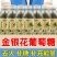 金银花葡萄糖补水液