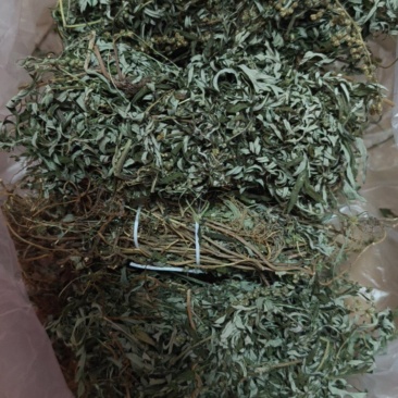 自家老艾叶带根二十元一扎