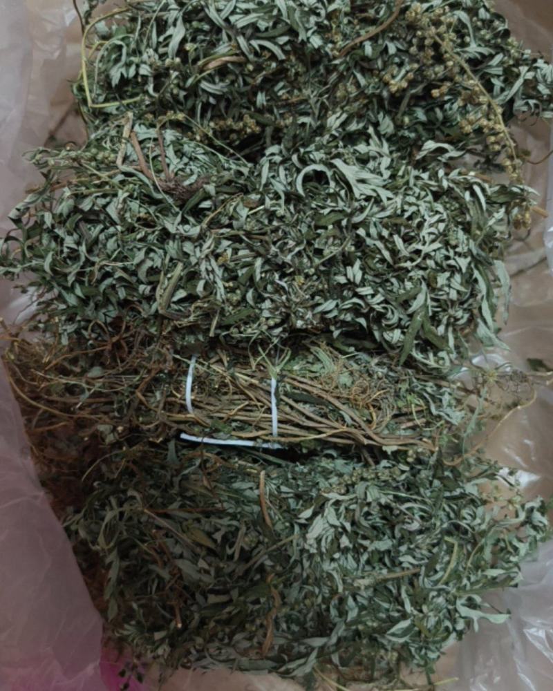 自家老艾叶带根二十元一扎
