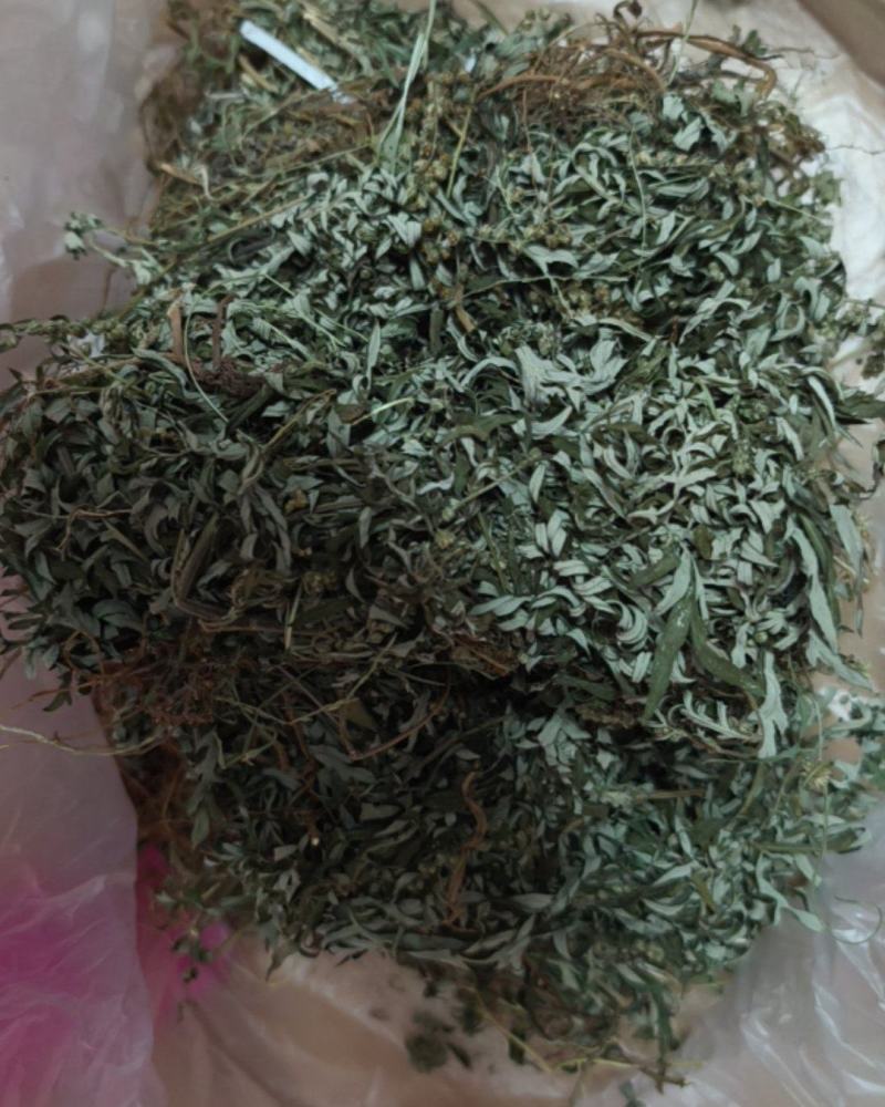 自家老艾叶带根二十元一扎