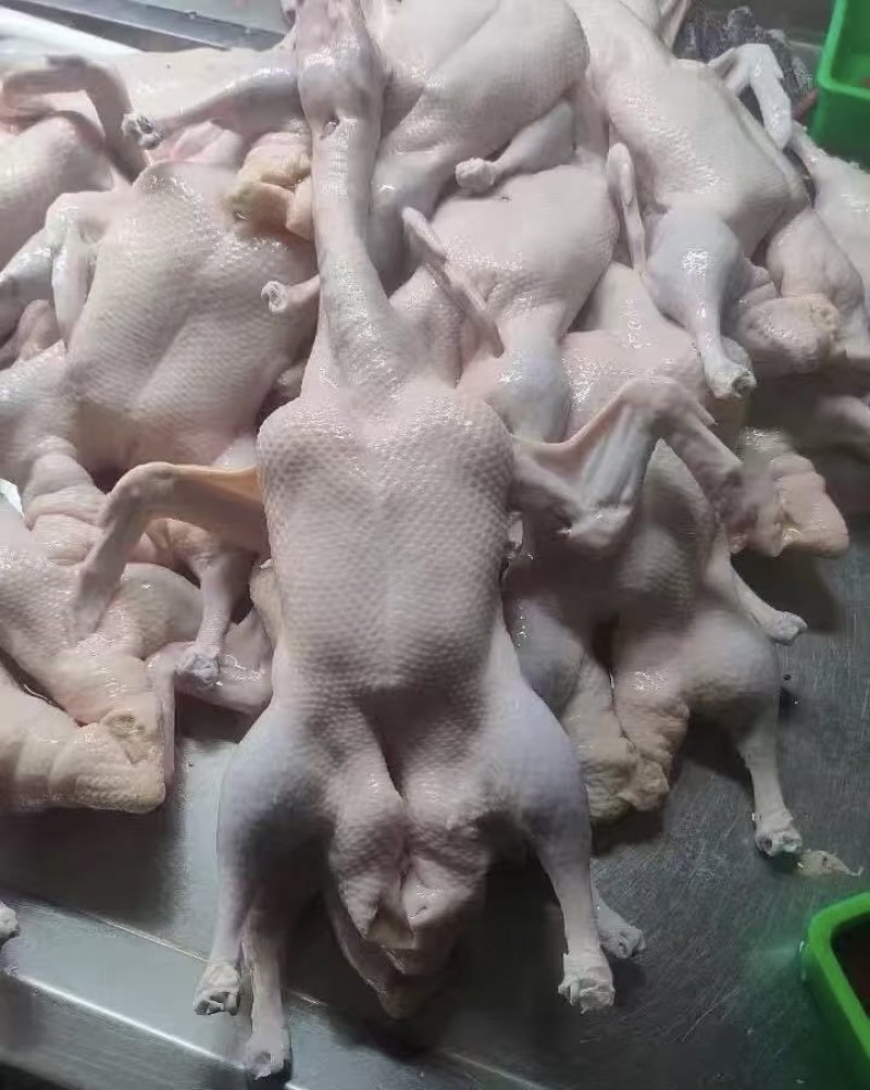 一级二级各种白条各种鸭件鸭头鸭舌牙齿