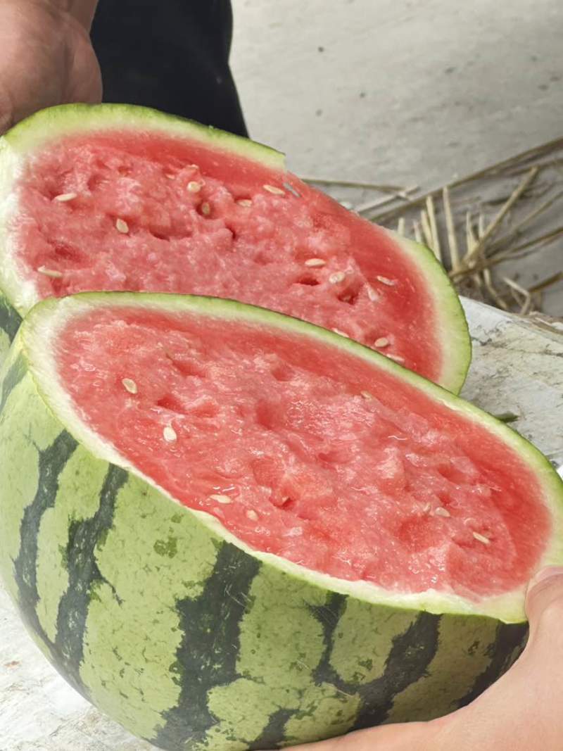 美都711大量上市