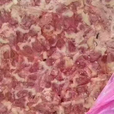 出售蛋鸡心10吨