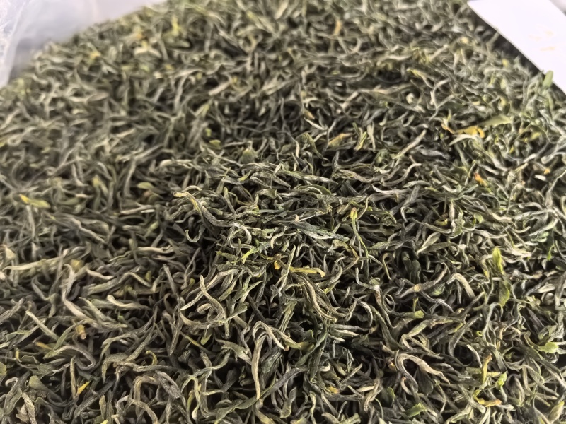 绿茶