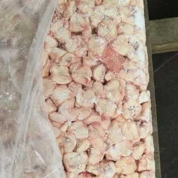 鸡屁股屠宰场鲜货，大肉食鸡割的！保证质量安全可靠生产