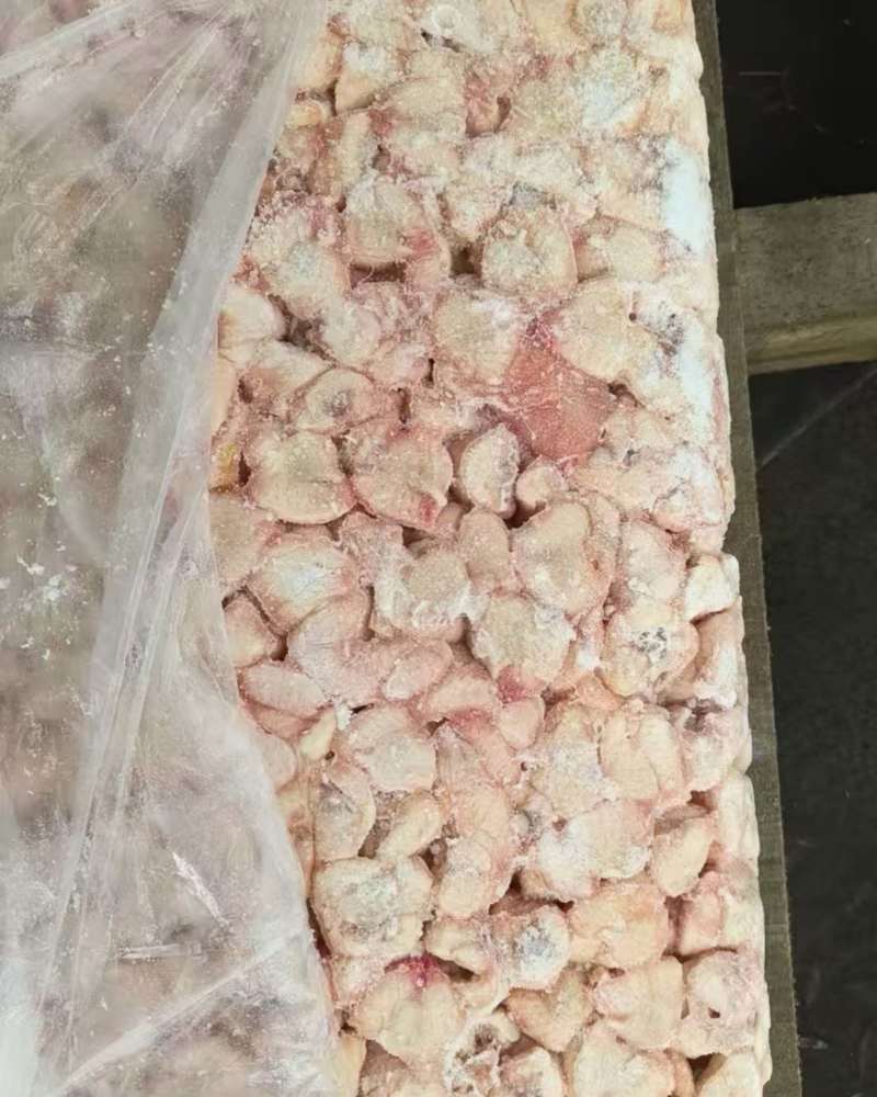 鸡屁股屠宰场鲜货，大肉食鸡割的！保证质量安全可靠生产