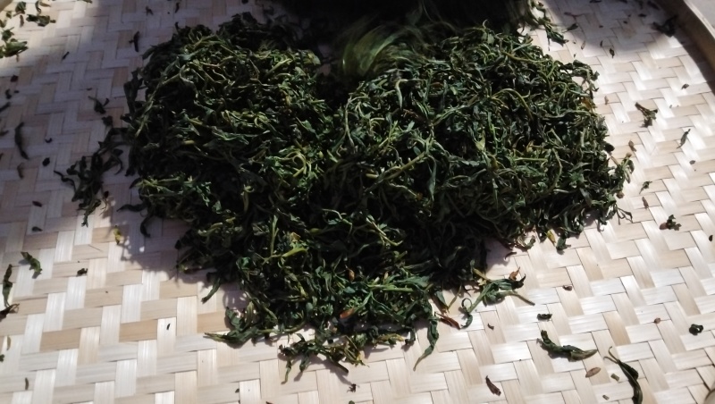 普洱古树茶年份过百年