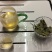 普洱古树茶年份过百年