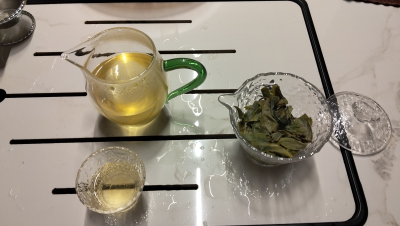 普洱古树茶年份过百年
