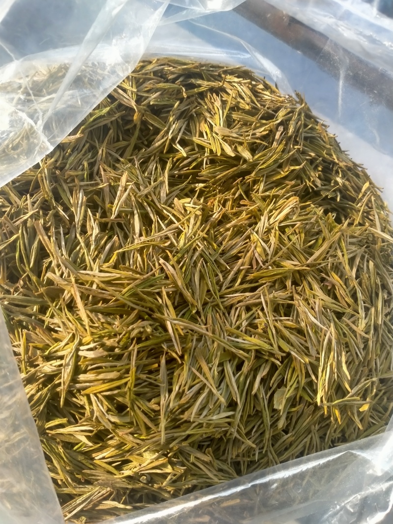 贵州高山黄金叶