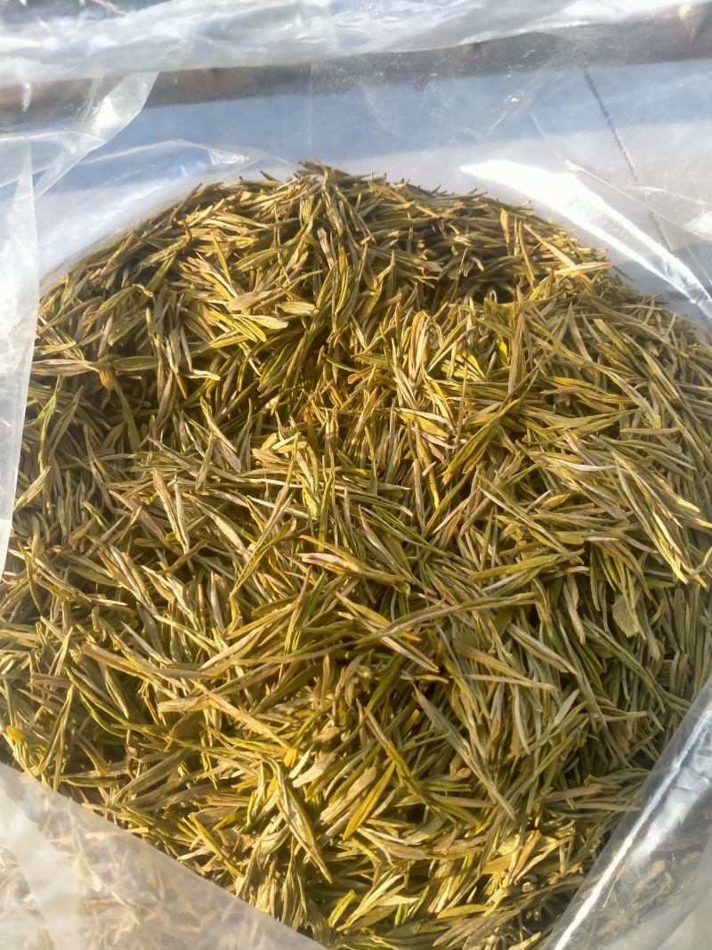 贵州高山黄金叶