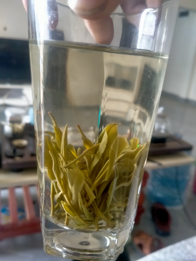 贵州高山安吉白茶