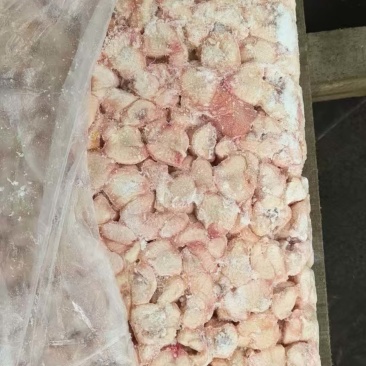 鸡屁股鲜货个头大肉食鸡大鸡割的！我这小鸡不割！品质保证