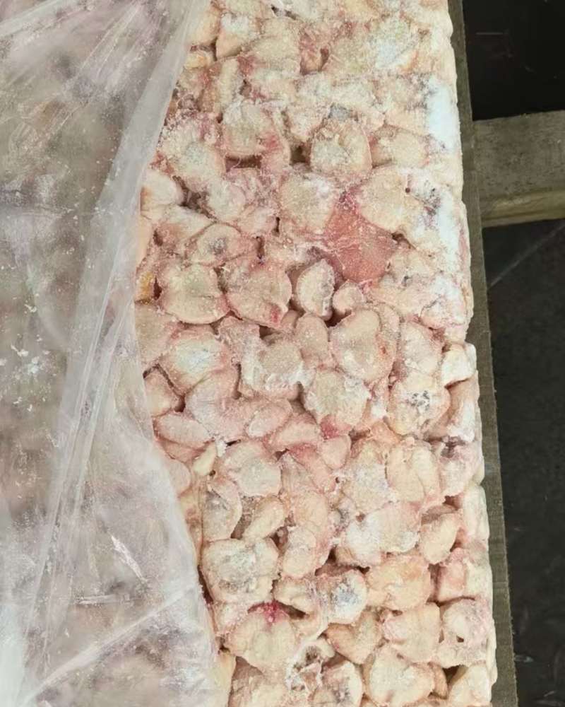 鸡屁股鲜货个头大肉食鸡大鸡割的！我这小鸡不割！品质保证