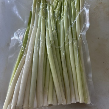 精品蒲菜