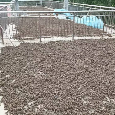 药材
