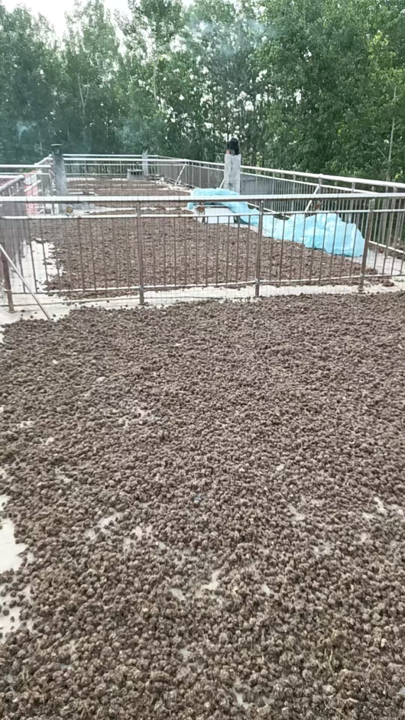 药材