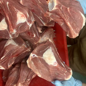 扇子骨带肉多颜色新鲜厂家直销大量现货量大从优